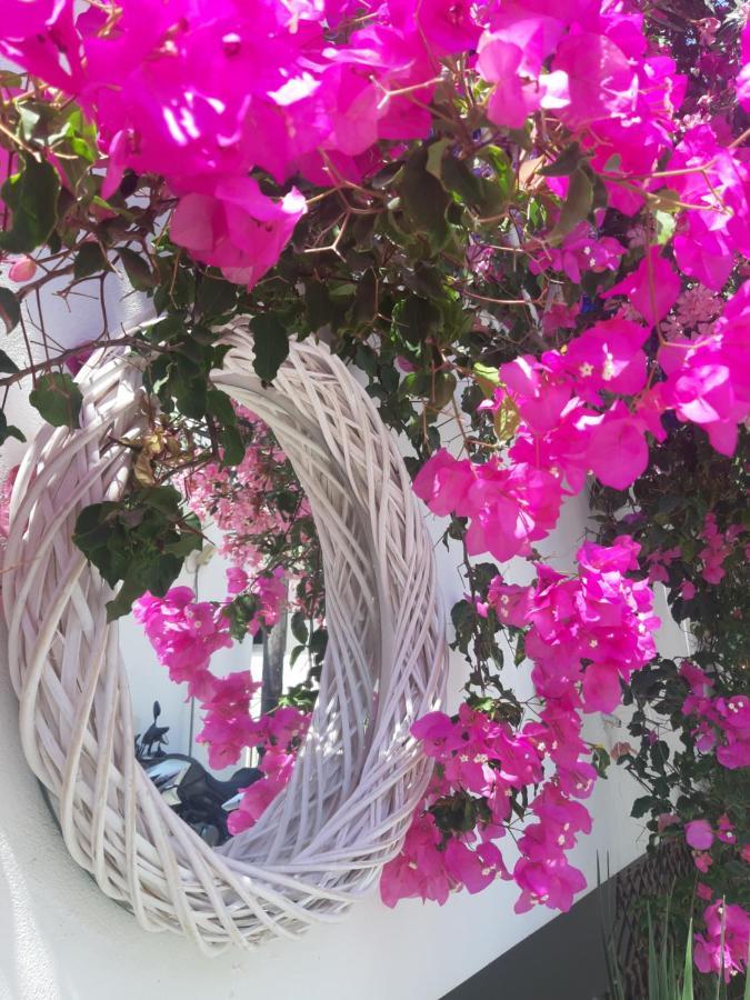 Doron Hotel Delfini Naxos City Zewnętrze zdjęcie