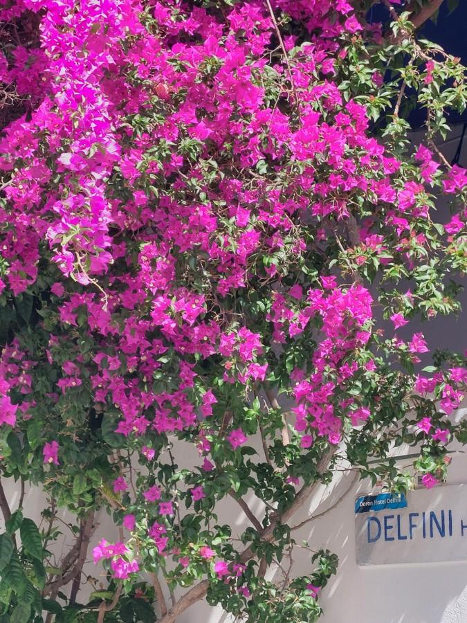 Doron Hotel Delfini Naxos City Zewnętrze zdjęcie