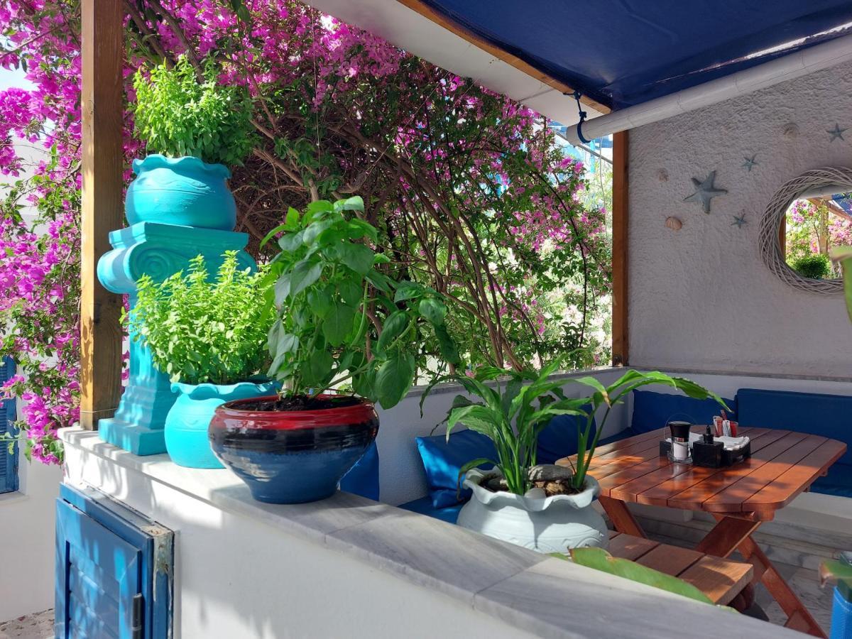 Doron Hotel Delfini Naxos City Zewnętrze zdjęcie