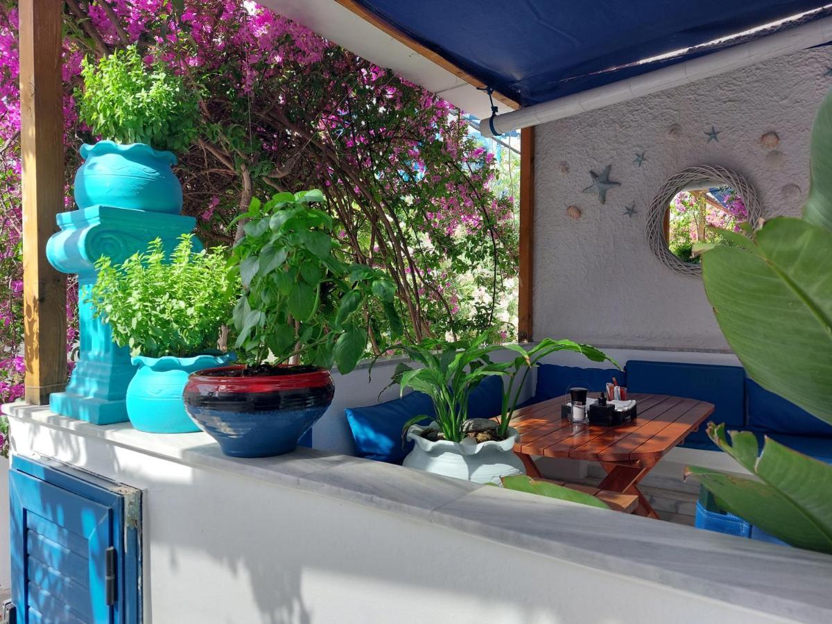 Doron Hotel Delfini Naxos City Zewnętrze zdjęcie