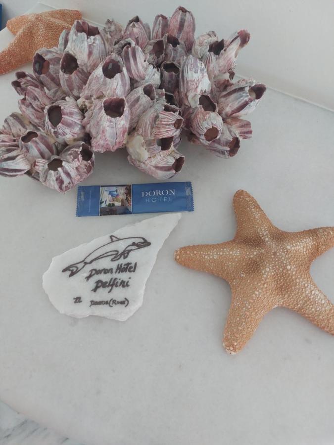 Doron Hotel Delfini Naxos City Zewnętrze zdjęcie