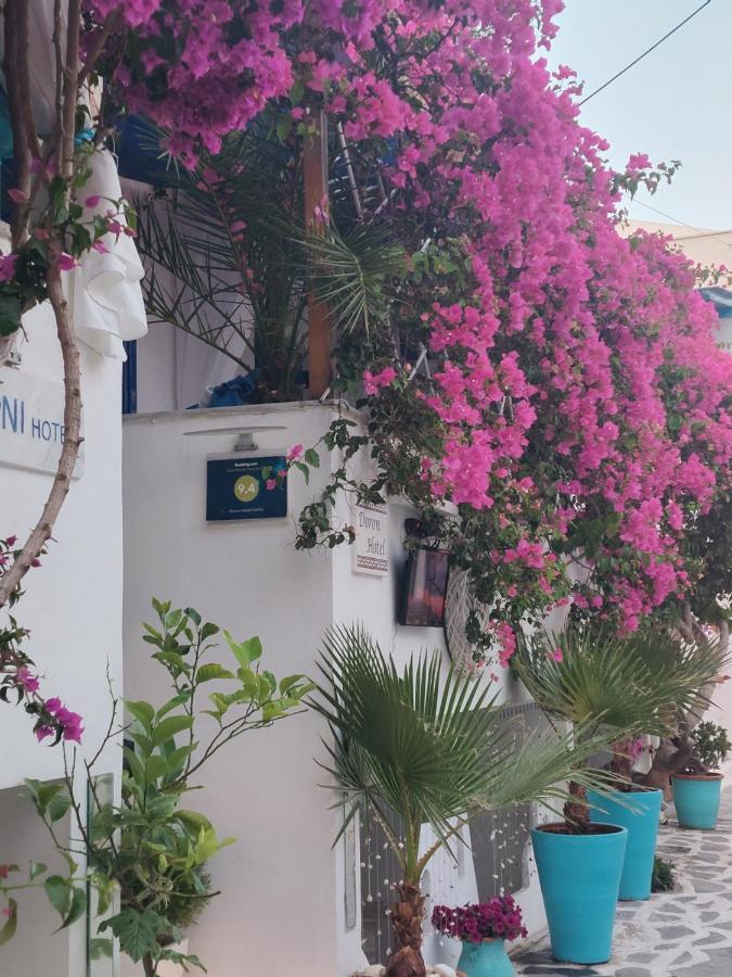 Doron Hotel Delfini Naxos City Zewnętrze zdjęcie