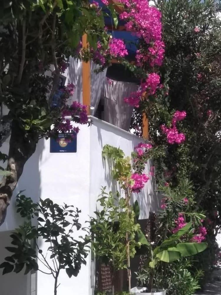 Doron Hotel Delfini Naxos City Zewnętrze zdjęcie