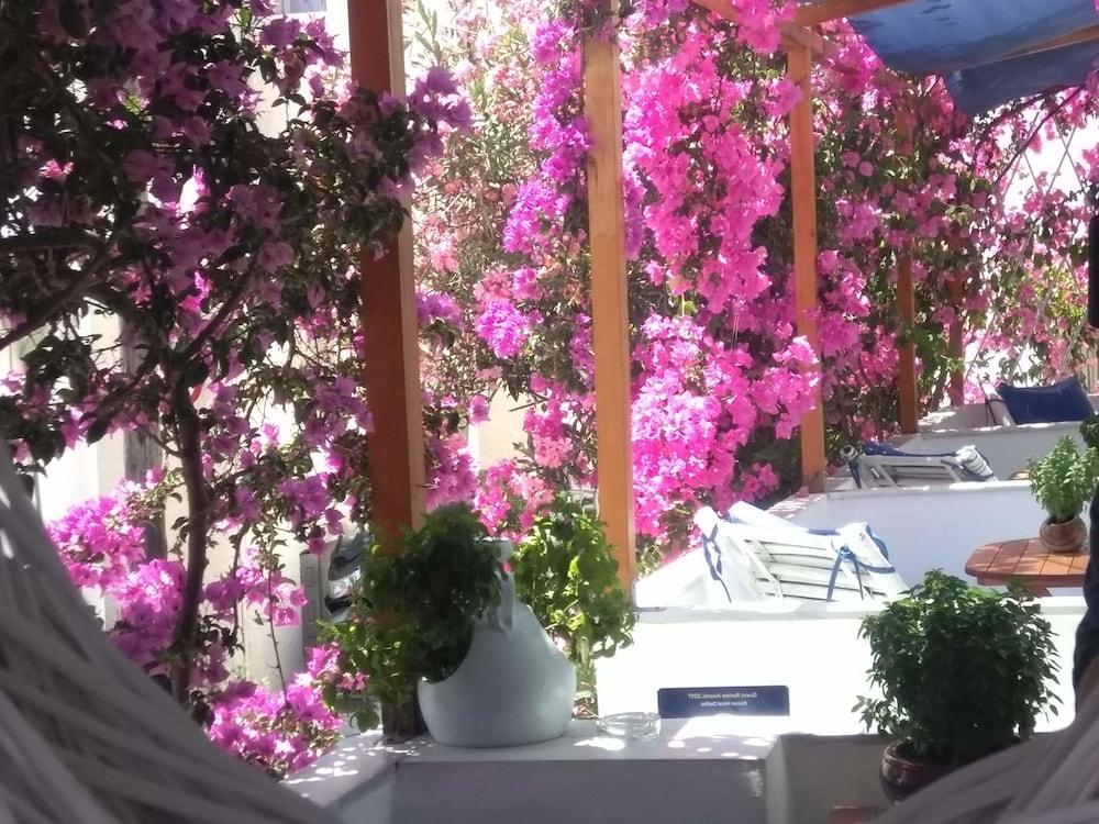 Doron Hotel Delfini Naxos City Zewnętrze zdjęcie