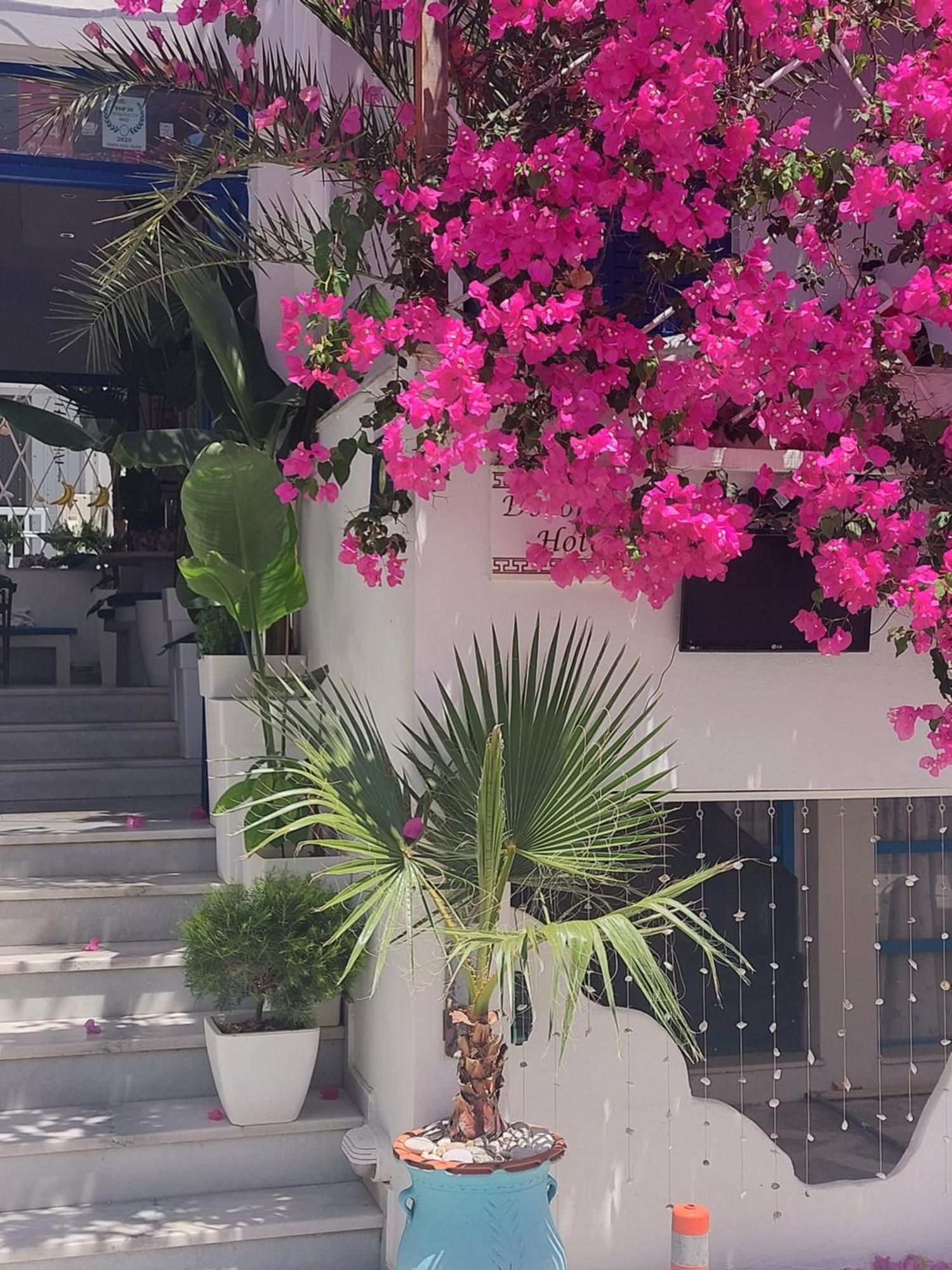 Doron Hotel Delfini Naxos City Zewnętrze zdjęcie