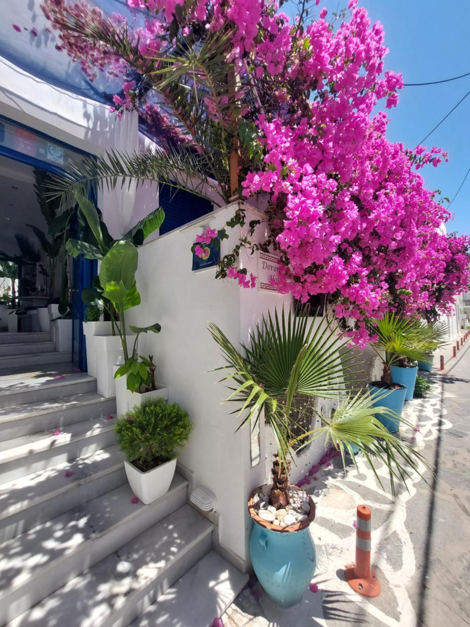 Doron Hotel Delfini Naxos City Zewnętrze zdjęcie