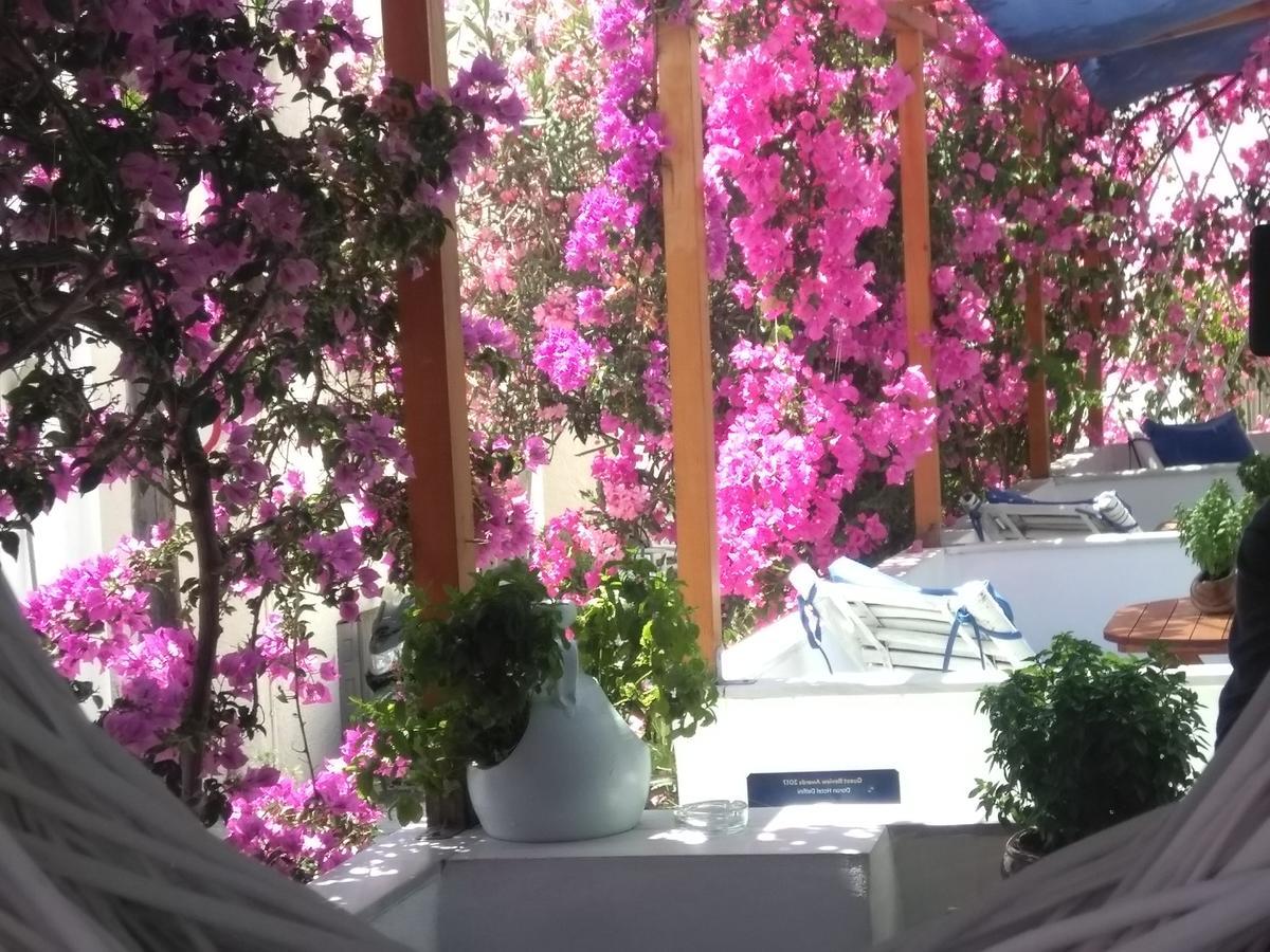 Doron Hotel Delfini Naxos City Zewnętrze zdjęcie