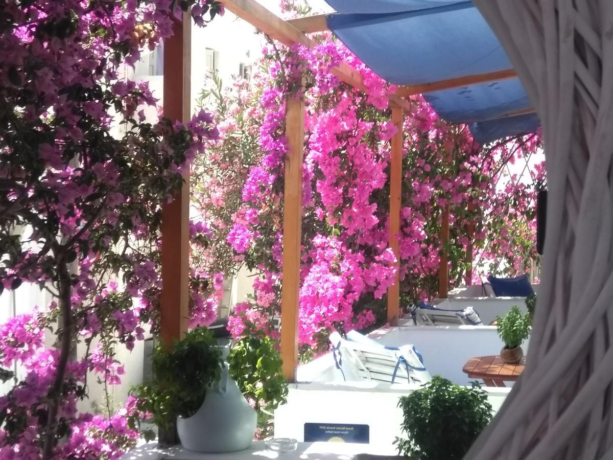Doron Hotel Delfini Naxos City Zewnętrze zdjęcie