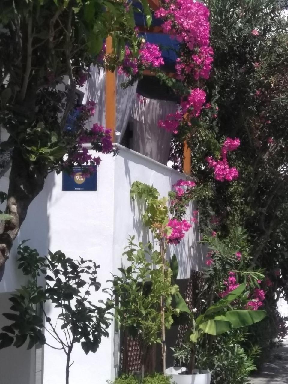 Doron Hotel Delfini Naxos City Zewnętrze zdjęcie