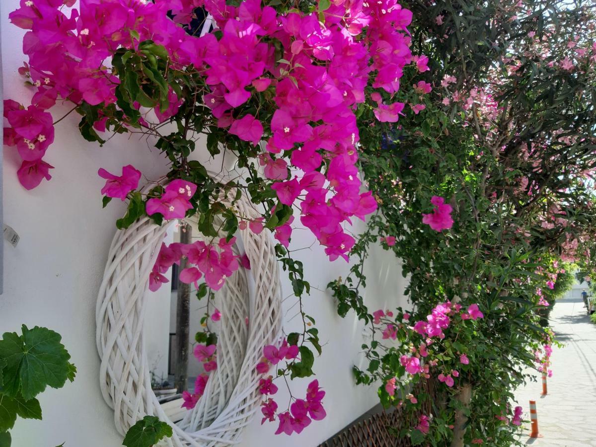 Doron Hotel Delfini Naxos City Zewnętrze zdjęcie